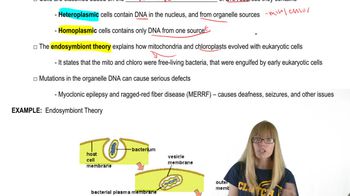 Organelle DNA Characteristics