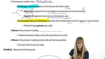 Chromosomal Fundamentals