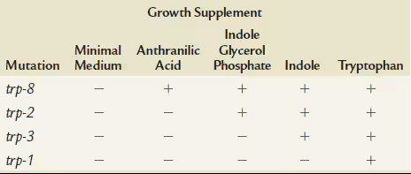 Table showing growth of Salmonella typhimurium mutants on media with various supplements indicating tryptophan biosynthesis steps.