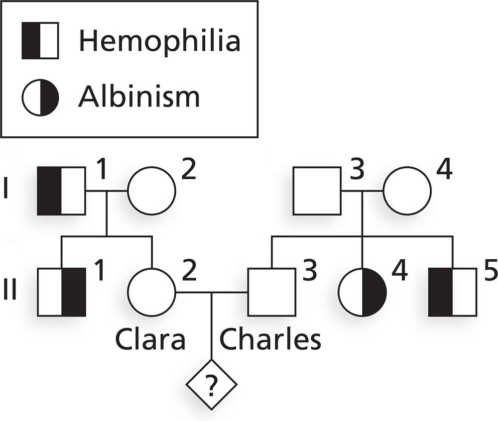 Pedigree chart showing inheritance patterns of hemophilia and albinism in Clara and Charles's family.