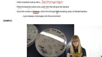 Plaques and Experiments