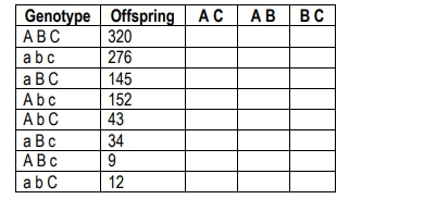 Table showing offspring data from a trihybrid cross for genes A, B, and C.