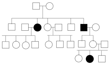 Pedigree chart illustrating inheritance patterns for genetics course, chapter on Mendel's laws.