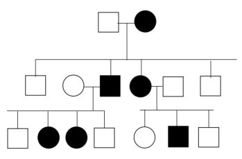 Pedigree chart illustrating inheritance patterns for genetics course, Chapter 2 on Mendel's Laws.