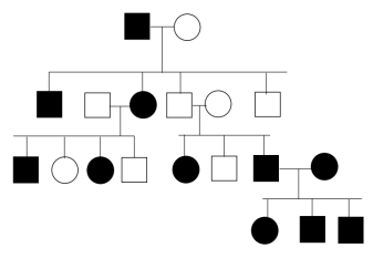 Pedigree chart illustrating inheritance patterns for genetics course, chapter on Mendel's laws.