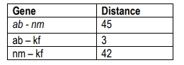 Table showing genetic distances between genes ab, nm, and kf for mapping.