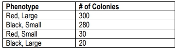 Table showing phenotypes and colony counts from a mixed bacteriophage infection experiment.