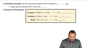 Electron Transport Chain Process Concept 3