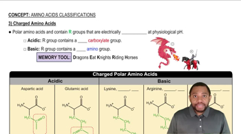 Charged Amino Acids Concept 3