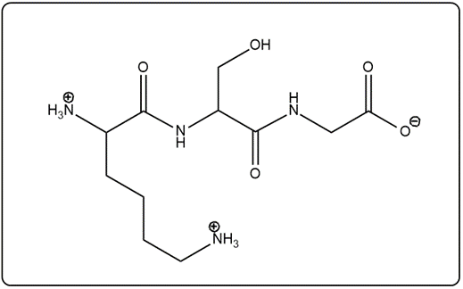 Skeletal structure of the peptide HSG, showing amino acids and bonds.