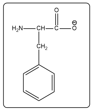 Structure of phenylalanine with an amino group and a negatively charged carboxyl group.