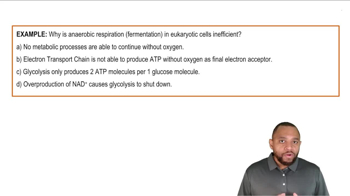 Anaerobic Respiration Example 1