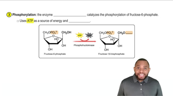 Glycolysis Concept 3