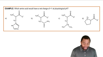 Amino Acid Classifications Example 3