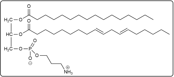 Phosphoglyceride structure with palmitic acid, linoleic acid, and propanolamine phosphate group.