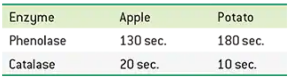 Table comparing enzyme activity times for phenolase and catalase in apple and potato samples.