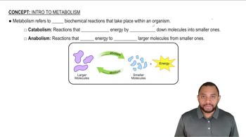 Intro to Metabolism Concept 1