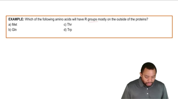 Amino Acid Classifications Example 2