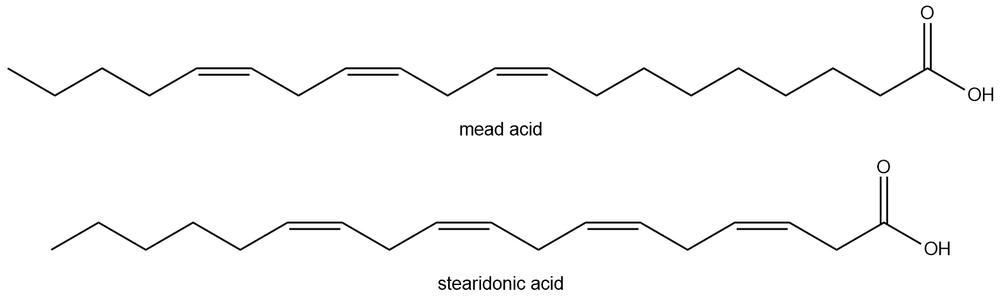 Skeletal structures of mead acid and stearidonic acid for fatty acid study.