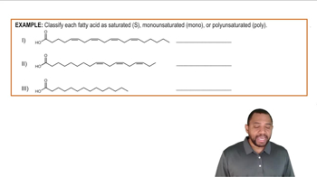 Fatty Acids Example 2