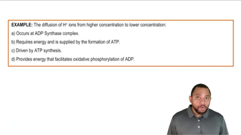 Oxidative Phosphorylation Example 1