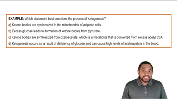 Ketone Bodies Example 1