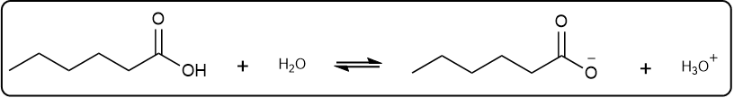 Balanced equation for hexanoic acid ionization producing acetate and hydronium.