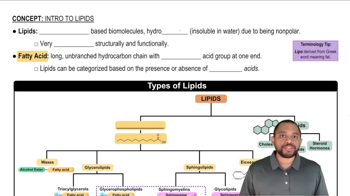 Intro to Lipids Concept 1