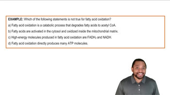 Intro to Fatty Acid Oxidation Example 1