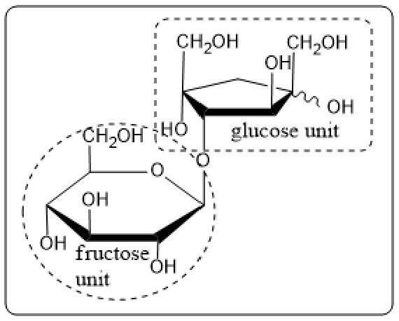 Diagram labeling fructose unit and glucose unit in the structure of turanose.