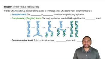 Intro to DNA Replication Concept 1