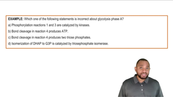 Glycolysis Example 2