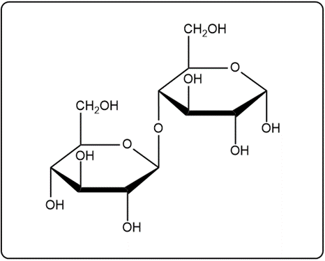 Haworth structure of isomaltose, showing two α-D-glucose units linked by an α(1→6) glycosidic bond.