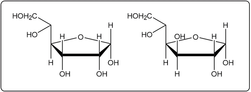 Cyclic structures of alpha and beta anomers of D-mannose in pyranose form.