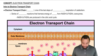 Intro to Electron Transport Chain Concept 1