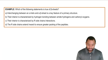 Secondary Protein Structure Example 4