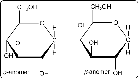 Cyclic hemiacetal forms of D-galactose: α-anomer on the left, β-anomer on the right.