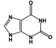 Chemical structure of guanine, a nitrogenous base in nucleic acids.
