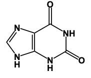 Chemical structure of guanine, a nitrogenous base in nucleic acids.