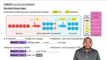 Glycolysis Summary Concept 1