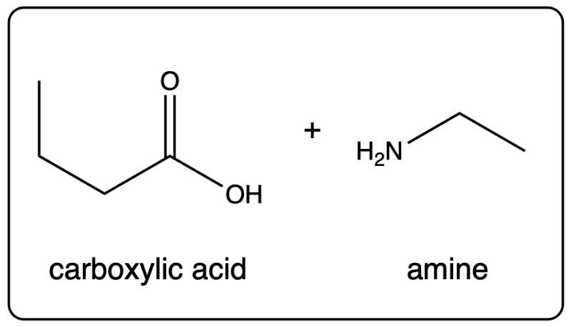 Final representation of carboxylic acid and amine from amide hydrolysis.