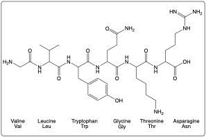 Peptide structure with amino acids: Val, Leu, Trp, Gly, Thr, Asn.