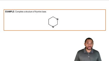 Nitrogenous Bases Example 2