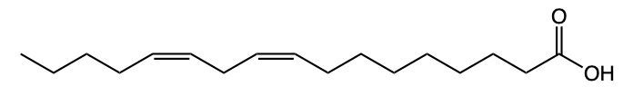 fatty acid structure