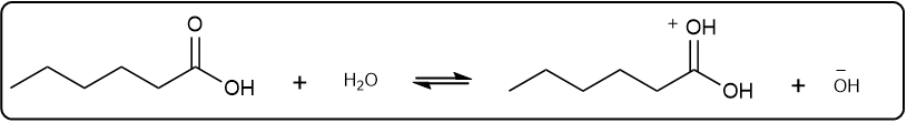 Balanced equation for hexanoic acid ionization in water.