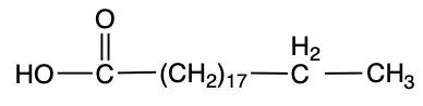 fatty acid molecule