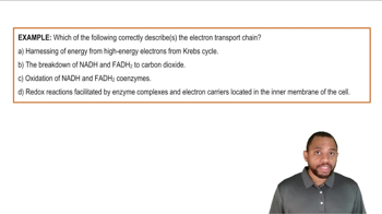 Intro to Electron Transport Chain Example 1