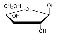 cyclic hemiacetal