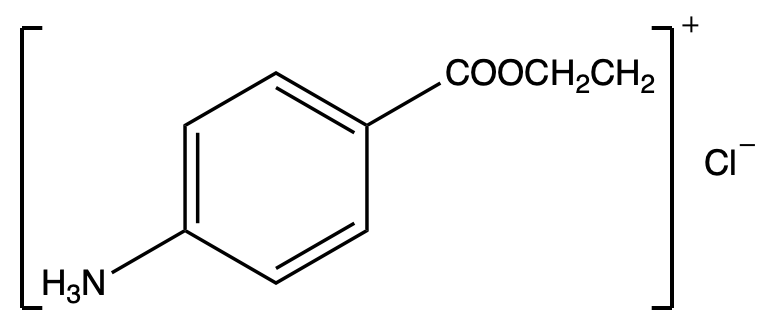 Condensed structural formula of benzocaine hydrochloride with a primary amine.