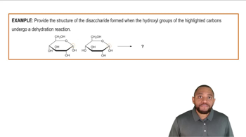 Glycosidic Linkage Formation Example 1